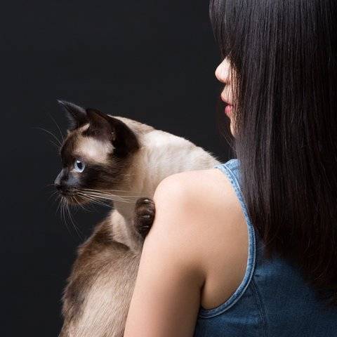 人寵合照3張套餐（Photo with pet）样片